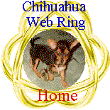 Main Chihuhaua Ring
